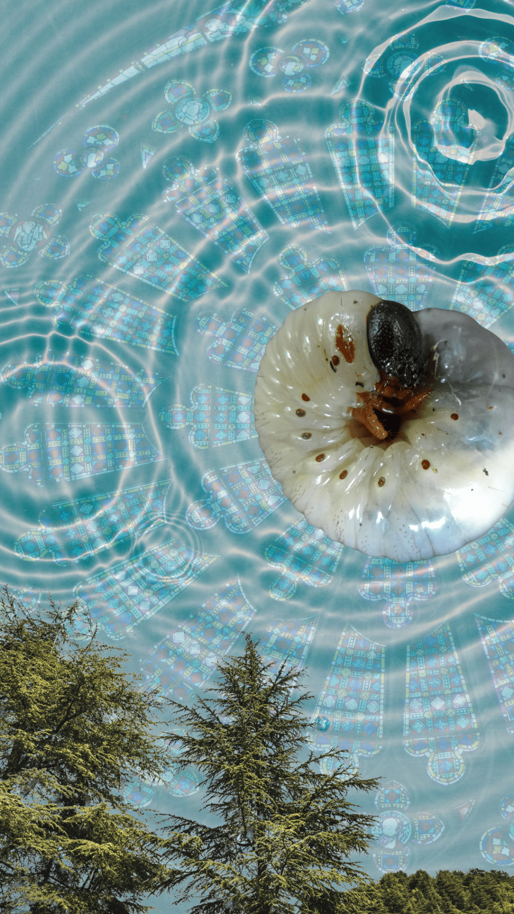 Poem: Where the Wild Things&nbsp;Are